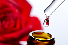 Sie inc.のプレスリリース画像10