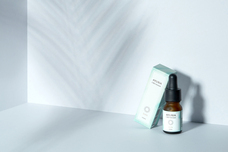 Sie inc.のプレスリリース画像1