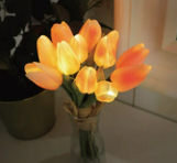 eBay Japan合同会社のプレスリリース画像2