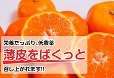 eBay Japan合同会社のプレスリリース画像1