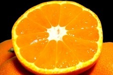 eBay Japan合同会社のプレスリリース画像4