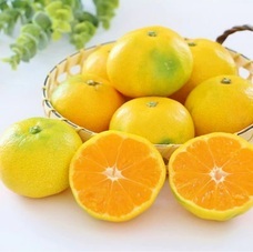 eBay Japan合同会社のプレスリリース画像2