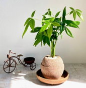 eBay Japan合同会社のプレスリリース画像6