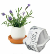 eBay Japan合同会社のプレスリリース画像7