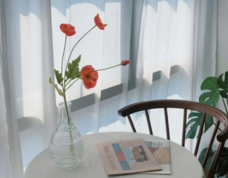 eBay Japan合同会社のプレスリリース画像2