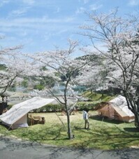 eBay Japan合同会社のプレスリリース画像10