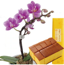 eBay Japan合同会社のプレスリリース画像1