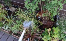 eBay Japan合同会社のプレスリリース画像6