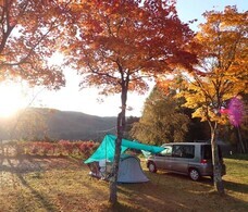 eBay Japan合同会社のプレスリリース画像7