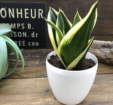 eBay Japan合同会社のプレスリリース画像6