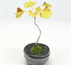 eBay Japan合同会社のプレスリリース画像7