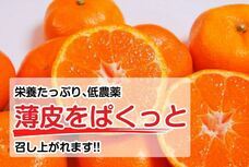 eBay Japan合同会社のプレスリリース画像3