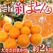 eBay Japan合同会社のプレスリリース画像6