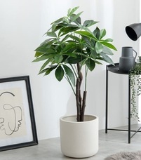 eBay Japan合同会社のプレスリリース画像6