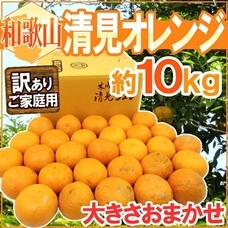 eBay Japan合同会社のプレスリリース画像4