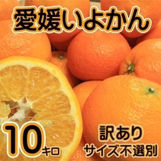 eBay Japan合同会社のプレスリリース画像3