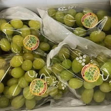 eBay Japan合同会社のプレスリリース画像3