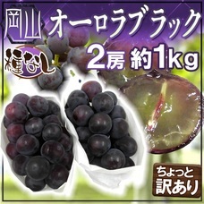 eBay Japan合同会社のプレスリリース画像4