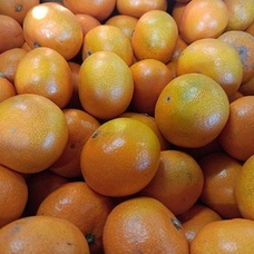 eBay Japan合同会社のプレスリリース画像3