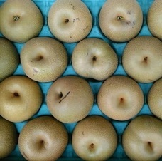 eBay Japan合同会社のプレスリリース画像3