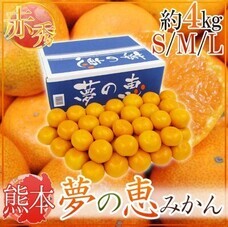 eBay Japan合同会社のプレスリリース画像5