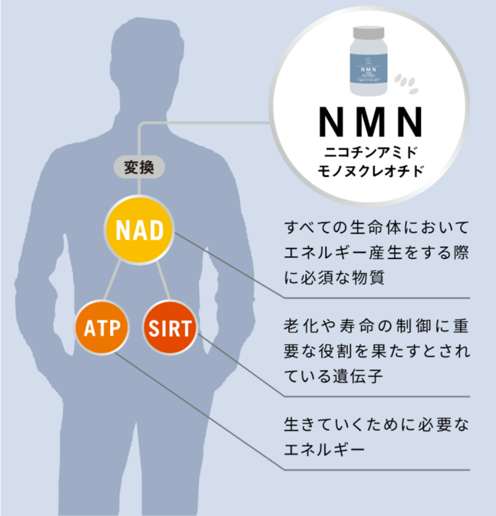 ふるさと納税 DYHショップNMN 高含量15,000mg 高純度99%以上