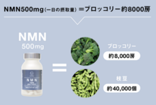 株式会社ルルーナのプレスリリース画像1