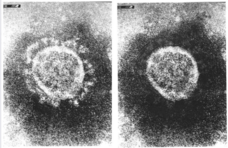合同会社ONE TEAMのプレスリリース画像1