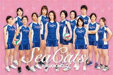 一般社団法人 福岡春日シーキャッツのプレスリリース画像1
