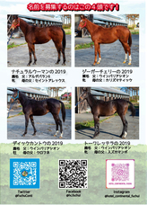 東北牧場のプレスリリース画像1