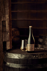 株式会社モトックスのプレスリリース画像1