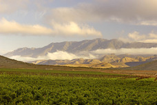 株式会社モトックスのプレスリリース画像2