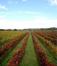 株式会社モトックスのプレスリリース画像9