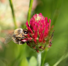 株式会社モトックスのプレスリリース画像2