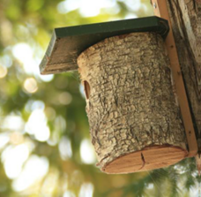 株式会社モトックスのプレスリリース画像4