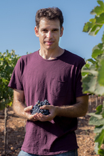 株式会社モトックスのプレスリリース画像3