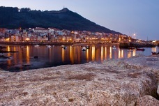 株式会社モトックスのプレスリリース画像1