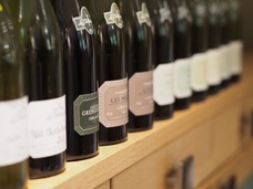 株式会社モトックスのプレスリリース画像4