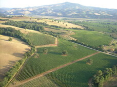 株式会社モトックスのプレスリリース画像1