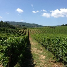 株式会社モトックスのプレスリリース画像5