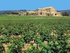 株式会社モトックスのプレスリリース画像1