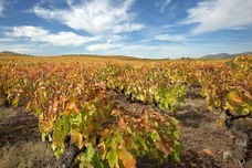 株式会社モトックスのプレスリリース画像2