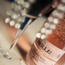 株式会社モトックスのプレスリリース画像1