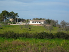 株式会社モトックスのプレスリリース画像2