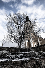 株式会社モトックスのプレスリリース画像1