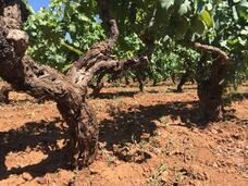 株式会社モトックスのプレスリリース画像2