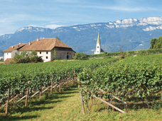 株式会社モトックスのプレスリリース画像1