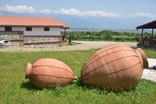 株式会社モトックスのプレスリリース画像1