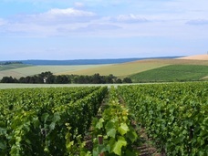 株式会社モトックスのプレスリリース画像2