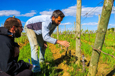 株式会社モトックスのプレスリリース画像1